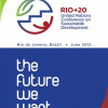 The future we want