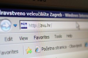 www.zvu.hr